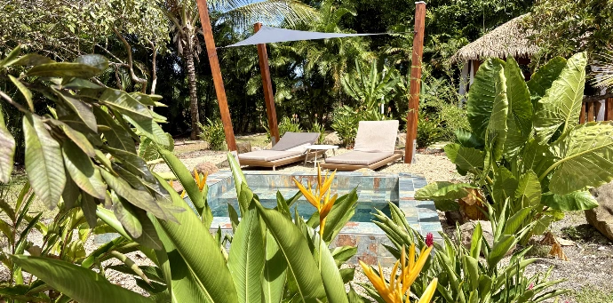 Massage détente des extrémités 45' (1 personne)